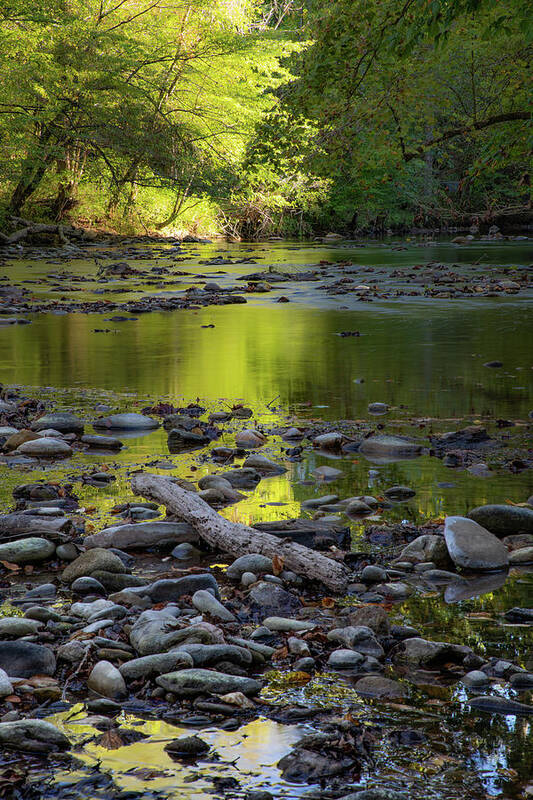 Nunweiler Poster featuring the photograph Cosby Creek by Nunweiler Photography