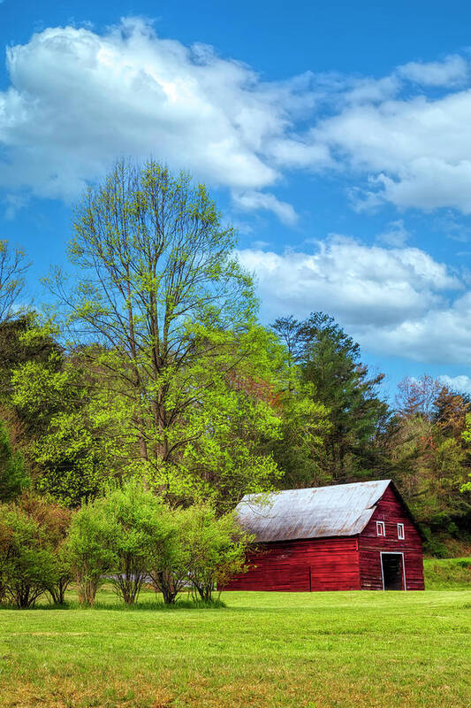 Barns Poster featuring the photograph Country Barn in the Pastures by Debra and Dave Vanderlaan