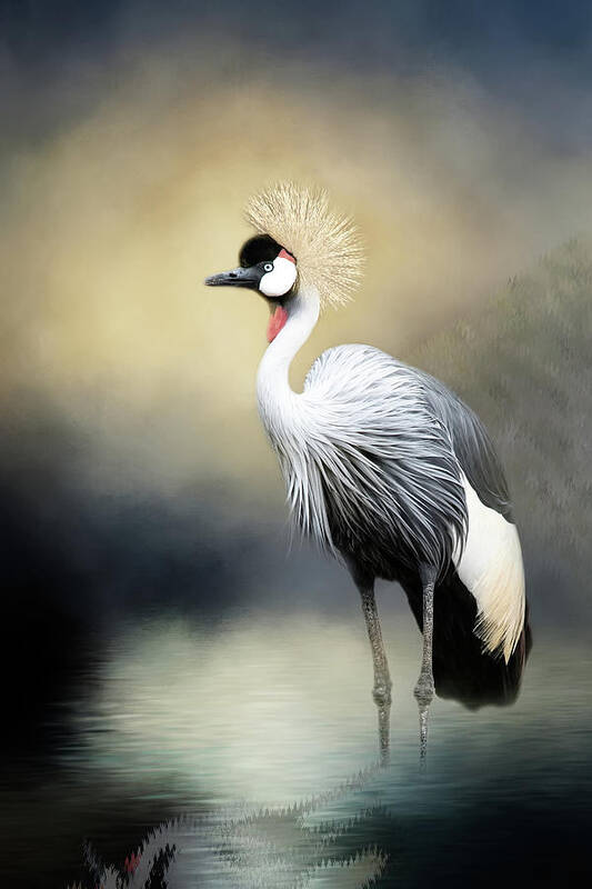 Africa Poster featuring the mixed media Crowned Crane by Ed Taylor