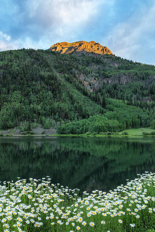 Mountain Poster featuring the photograph Daisies Delight by Denise Bush