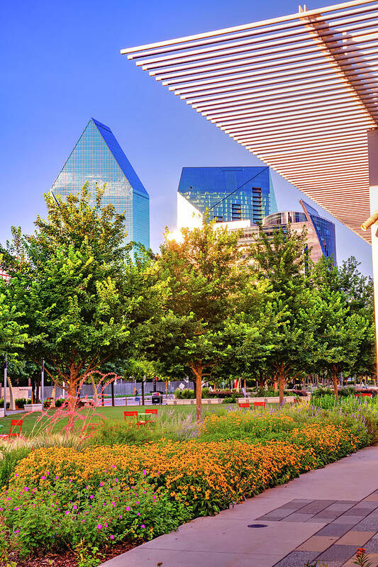 Dallas Texas Poster featuring the photograph Dallas Texas Skyline From Klyde Warren Park by Gregory Ballos