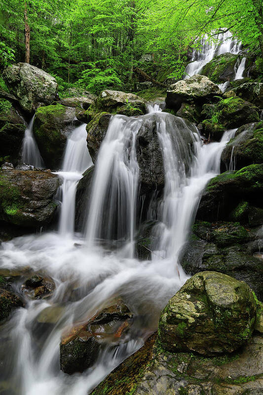 Shenandoah Poster featuring the photograph Dark Hollow Falls by Chris Berrier