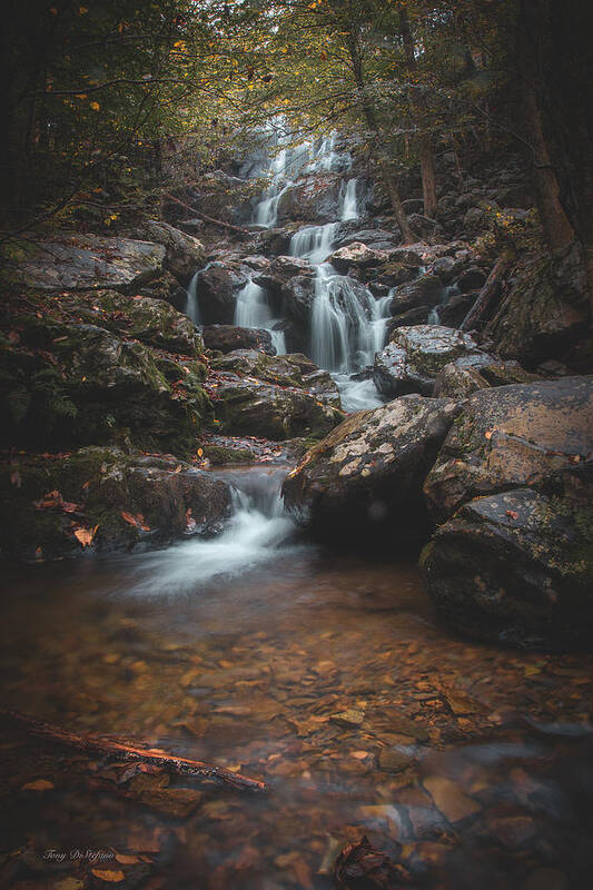 Shenandoah National Park Poster featuring the photograph Dark Hollow Falls by Tony DiStefano