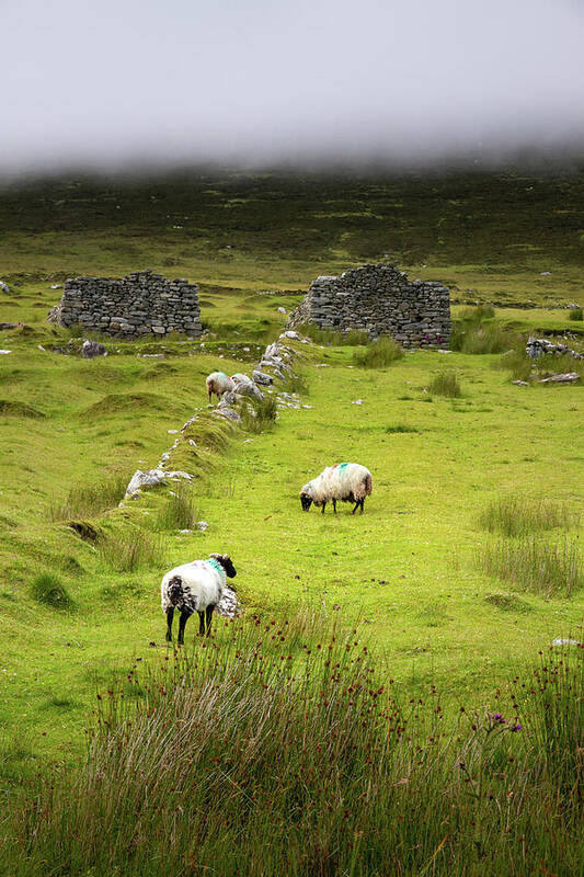 Gift Poster featuring the photograph Deserted Village 1 by Mark Callanan