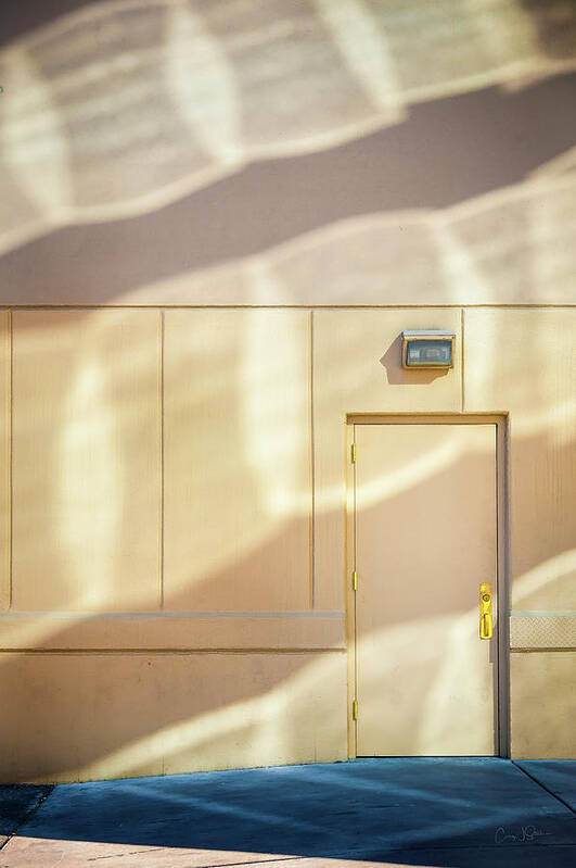 Doors Poster featuring the photograph Door Light by Craig J Satterlee