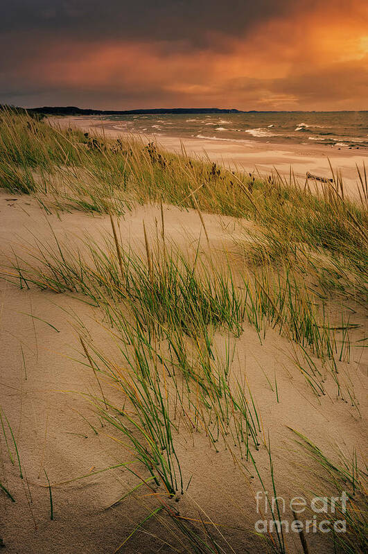 Dune Grass Poster featuring the photograph Dune Grass along Lake Michigan SL10664 by Mark Graf