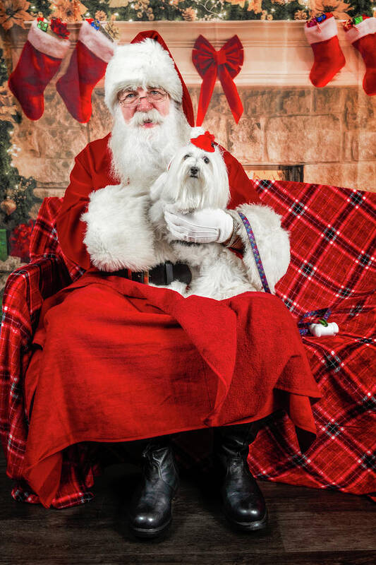 Emmy Poster featuring the photograph Emmy with Santa 1 by Christopher Holmes