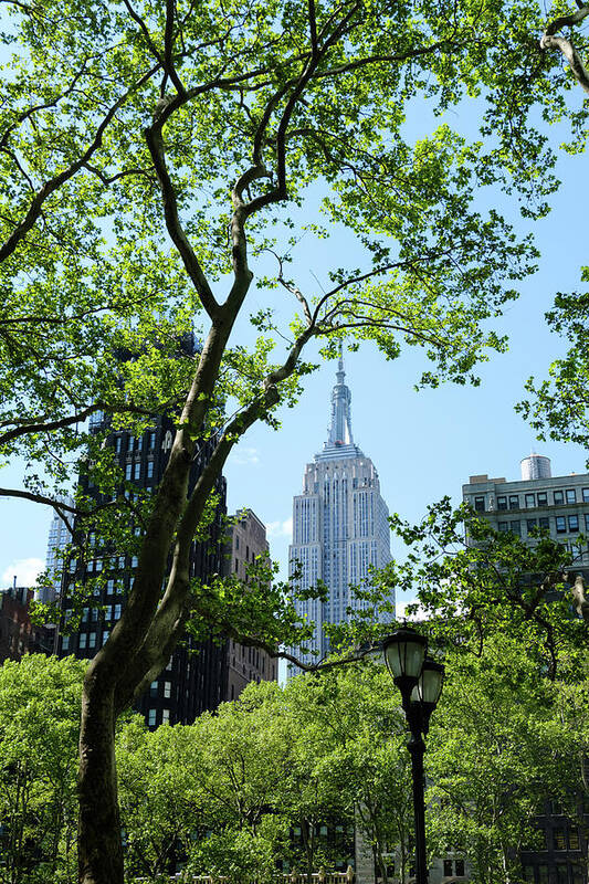 New York Poster featuring the photograph Empire state building from Bryant Park by Alberto Zanoni