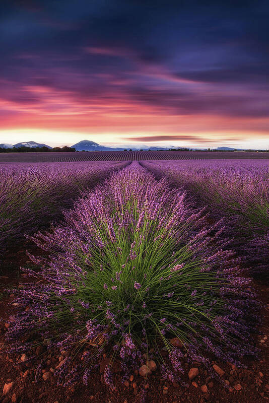 Landscape Poster featuring the photograph Epic sunrise by Jorge Maia