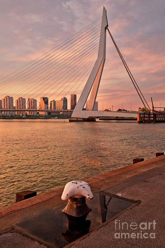 Holland Poster featuring the photograph Erasmus Bridge And City Skyline, Rotterdam, The Netherlands - Vertical by Philip Preston