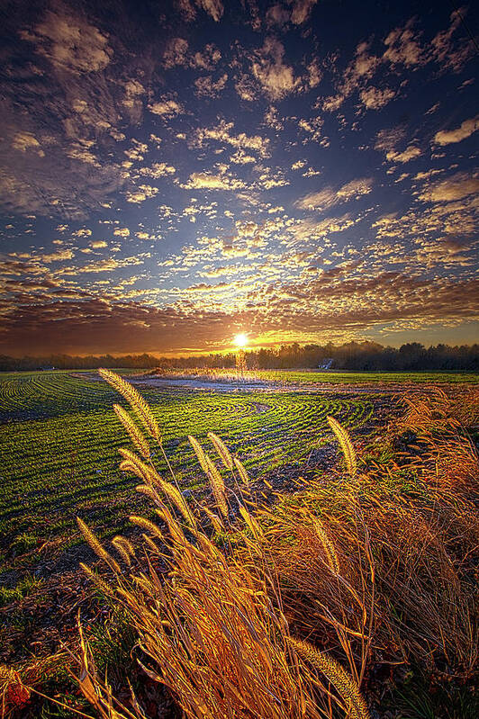 Fineart Poster featuring the photograph Eternal by Phil Koch