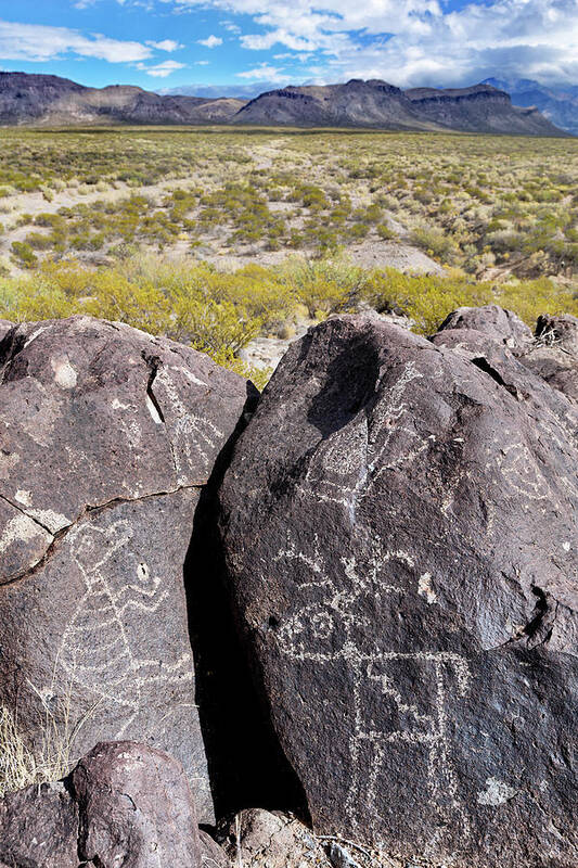 Three Rivers Petroglyphs Poster featuring the photograph Fanciful Zoomorphic Petroglyphs Jornada Mogollon Culture Rock Art by Kathleen Bishop