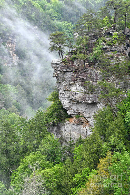 Fall Creek Falls Poster featuring the photograph Fog In The Valley by Phil Perkins