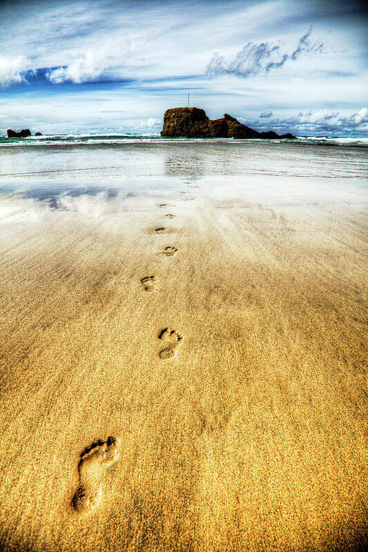 Footsteps Poster featuring the photograph Footsteps In The Sand by Paul Thompson