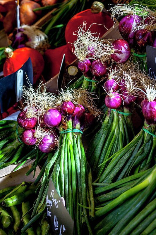 Bratagne Poster featuring the photograph Fresh Color at a Market by W Chris Fooshee