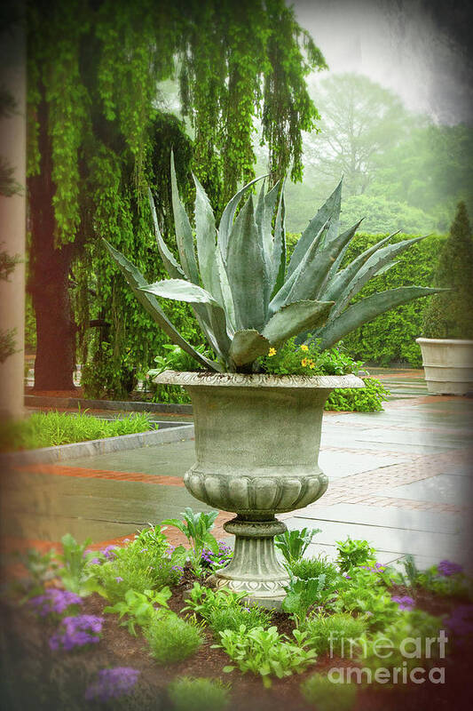 Fountain Of Youth Poster featuring the photograph Garden Vignette by Marilyn Cornwell