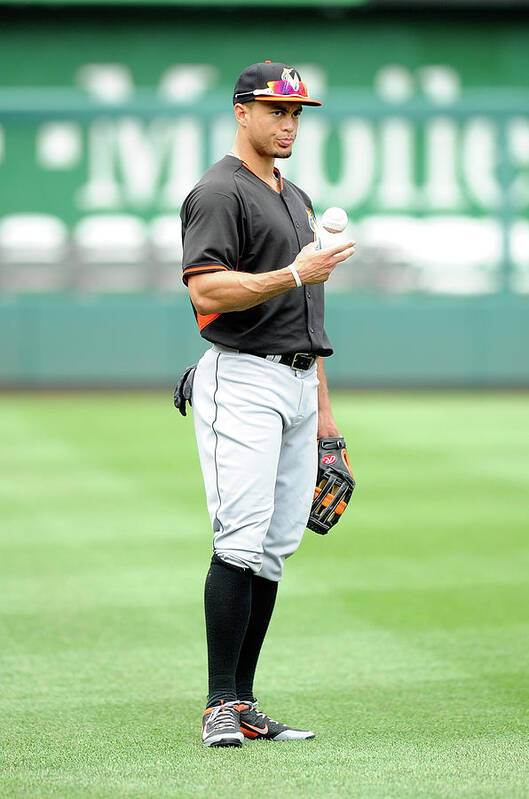 American League Baseball Poster featuring the photograph Giancarlo Stanton by Greg Fiume