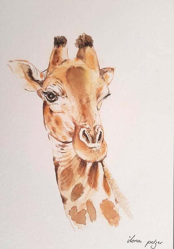 Wildlife Poster featuring the painting Giraffe by Ilona Petzer