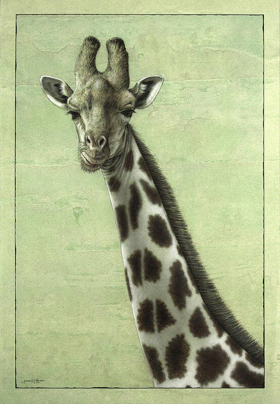 Giraffe Poster featuring the painting Giraffe by James W Johnson