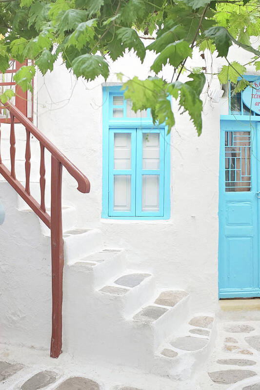 Greece Poster featuring the photograph Grapevine and Stairs by Lupen Grainne