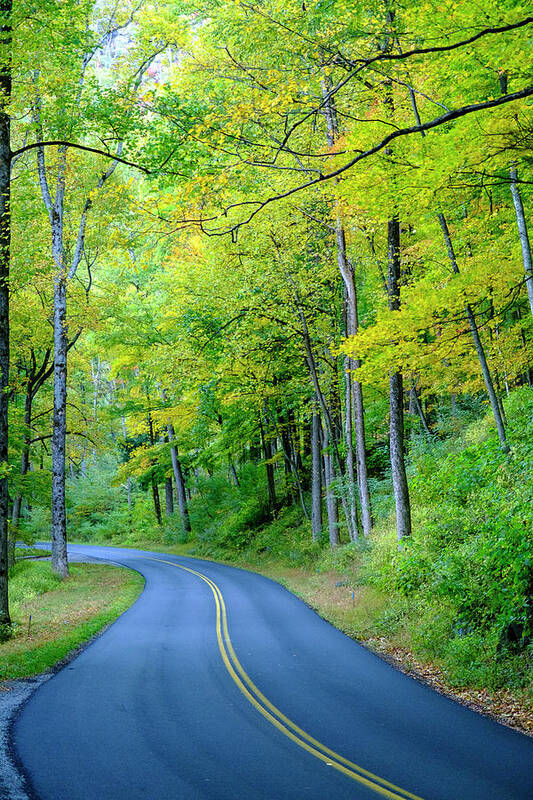 Fall Poster featuring the photograph Great Day For A Smokey Mountains Drive by Tony Locke