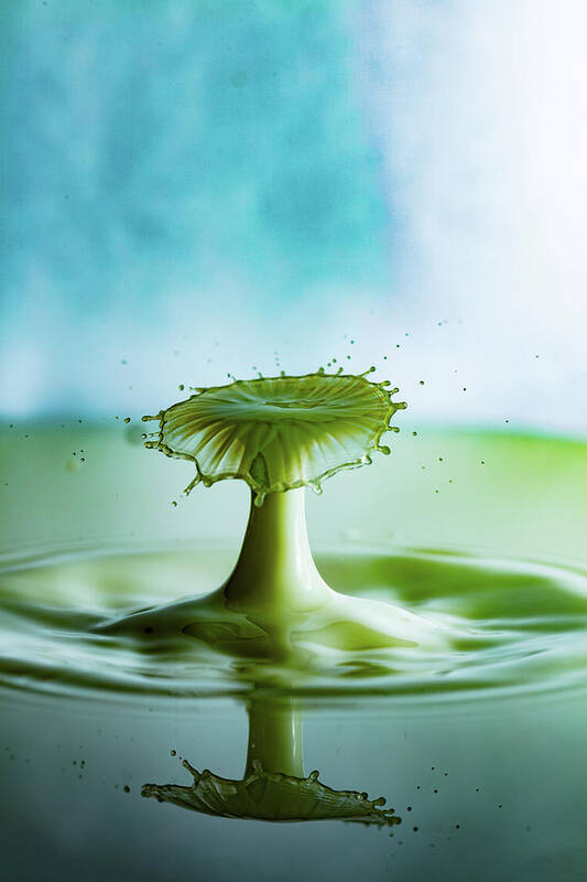 Wall Art Poster featuring the photograph Green Mushroom by Marlo Horne