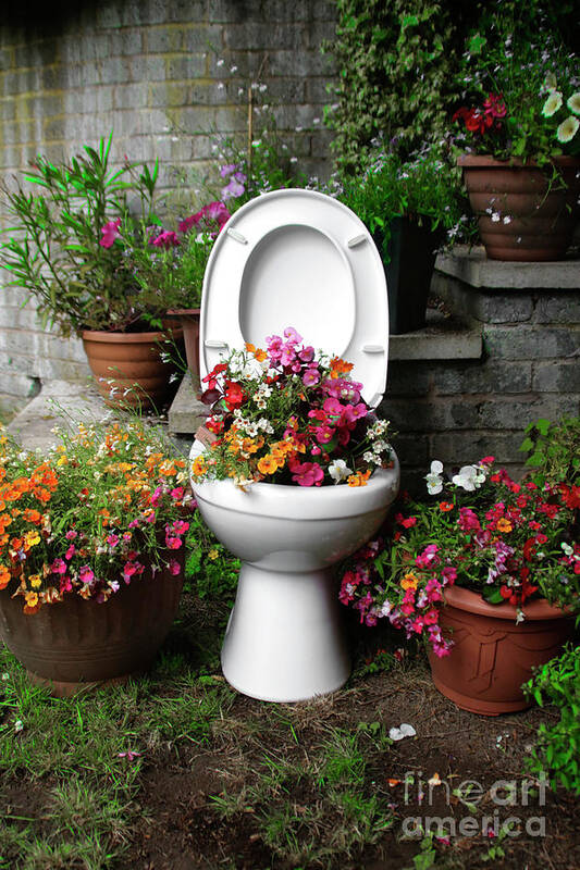 Toilet Poster featuring the photograph Growing a Little Potty in the Garden by Doc Braham