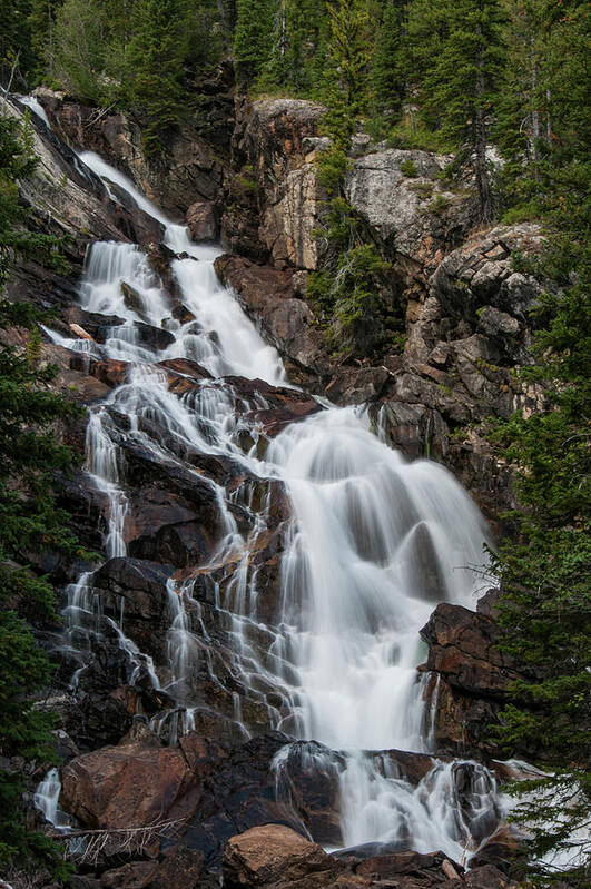 Grand Teton National Park Poster featuring the photograph Hidden Falls by Melissa Southern
