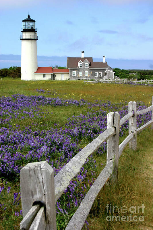 Lighthouse Poster featuring the photograph Highland Light by Paula Guttilla
