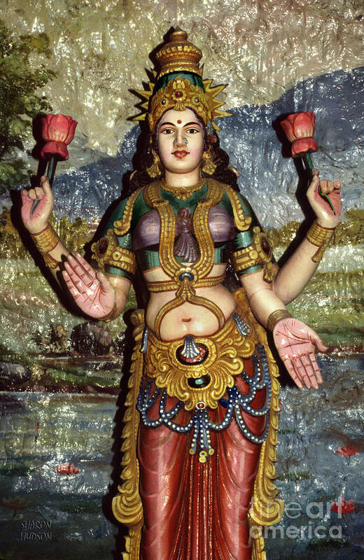 Lakshmi Poster featuring the photograph Hindu goddess prints - Lakshmi by Sharon Hudson