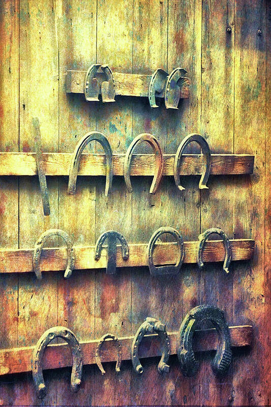 19th Poster featuring the photograph Horse Shoes by Jamart Photography