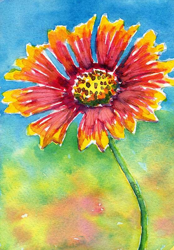 Texas Poster featuring the painting Indian Blanket Flower by Carlin Blahnik CarlinArtWatercolor