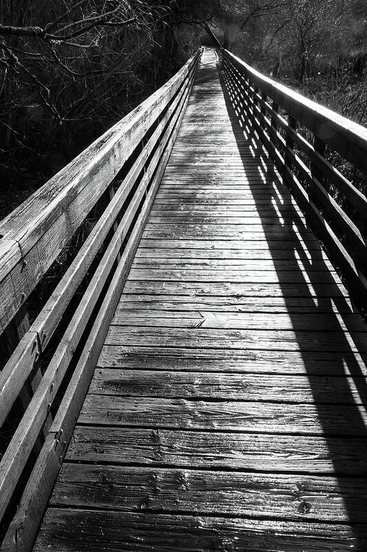 Black And White Poster featuring the photograph Juanita Bay Boardwalk by LareyMcDaniel