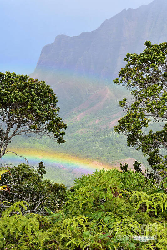 Gary Poster featuring the photograph Kalalau Lookout Rainbow by Gary F Richards