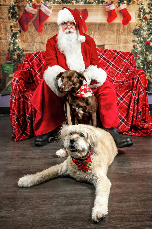 Annie Poster featuring the photograph Kellie and Annie with Santa 2 by Christopher Holmes