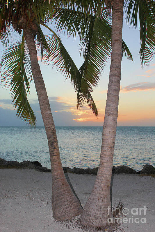 Key West; Florida; Sunset; Palm Trees; Trees; Beach; Sand; Ocean; Sea; Clouds; Water; Waves; Palm Fronds; Vertical; Wood; Poster featuring the photograph Key West Sunset by Tina Uihlein