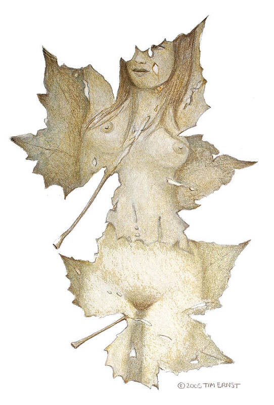 Nude Poster featuring the drawing Lady Of The Leaf 5 by Tim Ernst