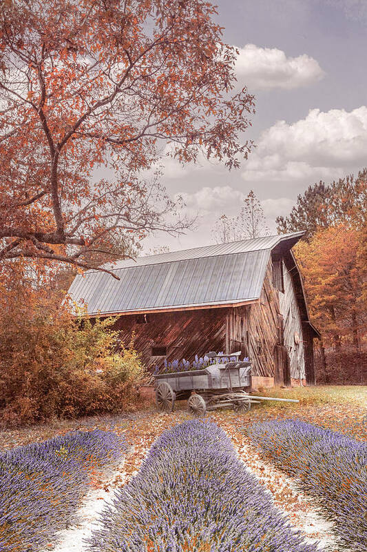 Barns Poster featuring the photograph Last Flowers of Country Autumn by Debra and Dave Vanderlaan