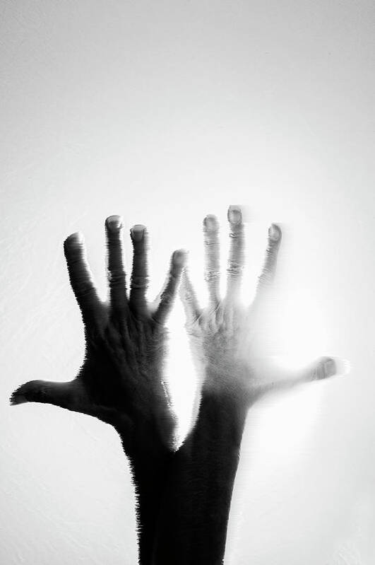 Hands Poster featuring the photograph Light Stops by Alina Oswald