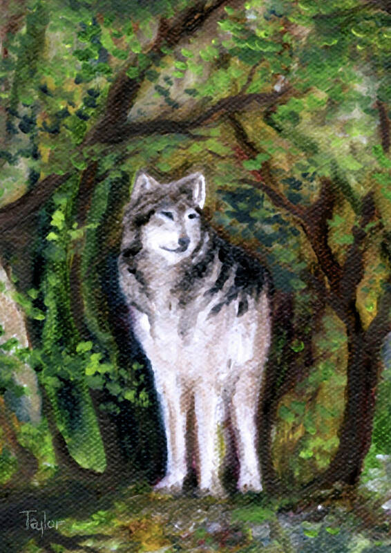 Forest Poster featuring the painting Little Wolf by FT McKinstry