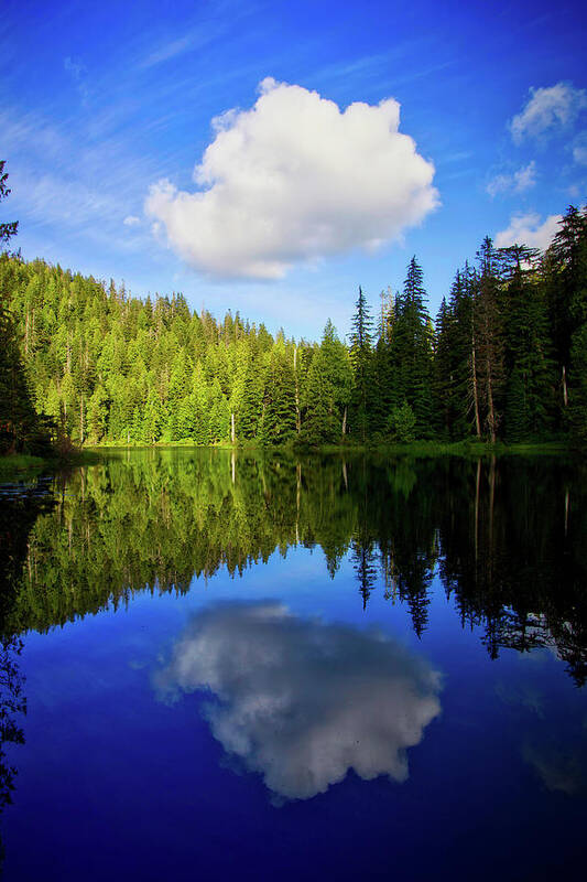 Clouds Poster featuring the photograph Lonely Cloud Reflection by Bradley Morris