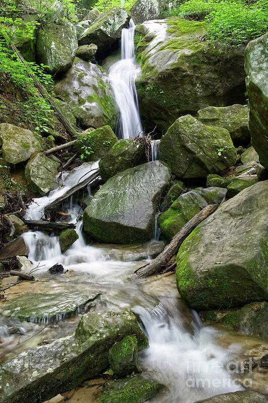 Cumberland Plateau Poster featuring the photograph Lost Creek Falls 41 by Phil Perkins