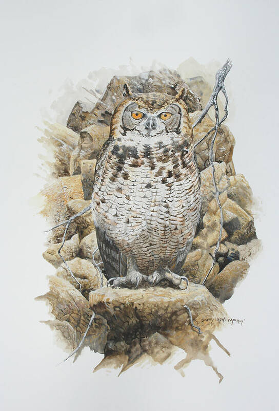 Mackinder's Cape Eagle Owl Poster featuring the painting Mackinder's Cape Eagle-Owl by Barry Kent MacKay