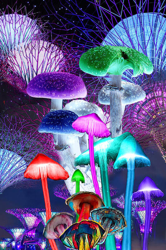 Mushroom Poster featuring the digital art Magic Mushrooms by Lisa Yount