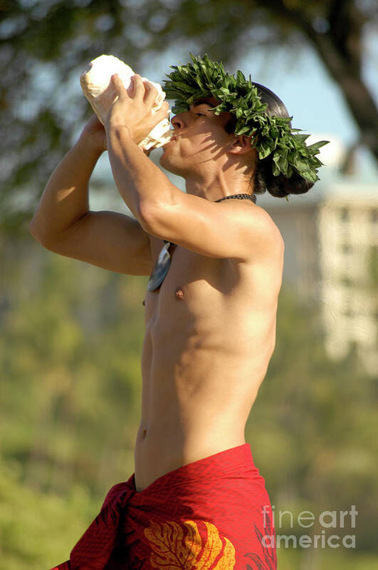 Beach Poster featuring the photograph Male Hawaiian Dancer blows a conch shell  by Gunther Allen