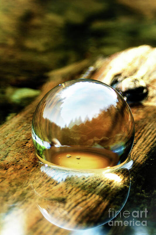 Lens Ball Poster featuring the photograph Mirror On The Log by Janie Johnson