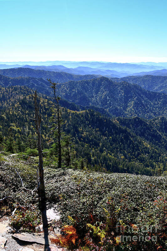 Mount Leconte Poster featuring the photograph Mount LeConte 11 by Phil Perkins