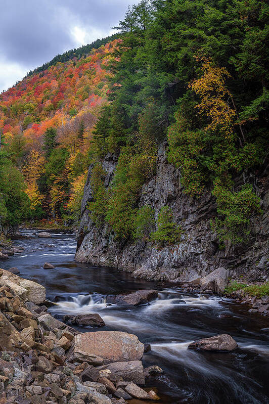  Ausable River Poster featuring the photograph Mountain Brook by Mark Papke