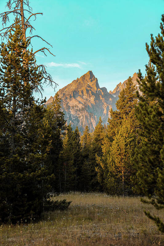 Mountain Poster featuring the photograph Mountain Magic by Go and Flow Photos