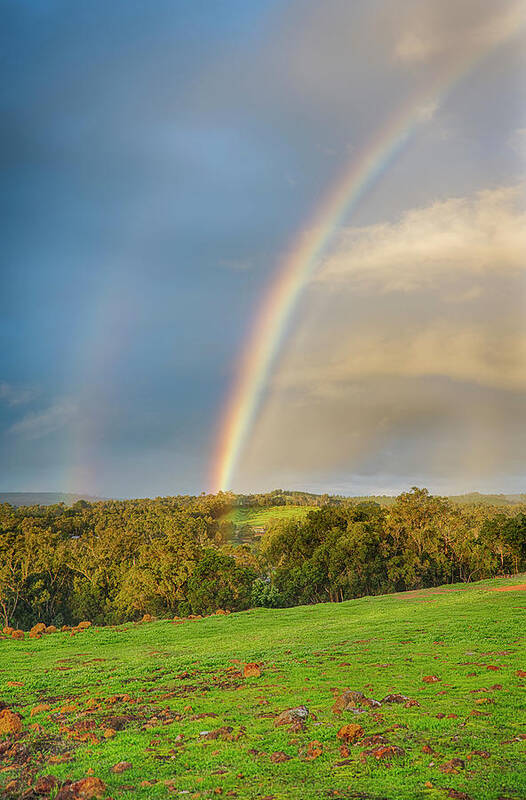 Afternoon Poster featuring the photograph Nannup Rainbow by Jay Heifetz